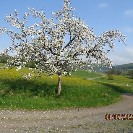 Ferienwohnung Rhoen Kaltennordheim المظهر الخارجي الصورة